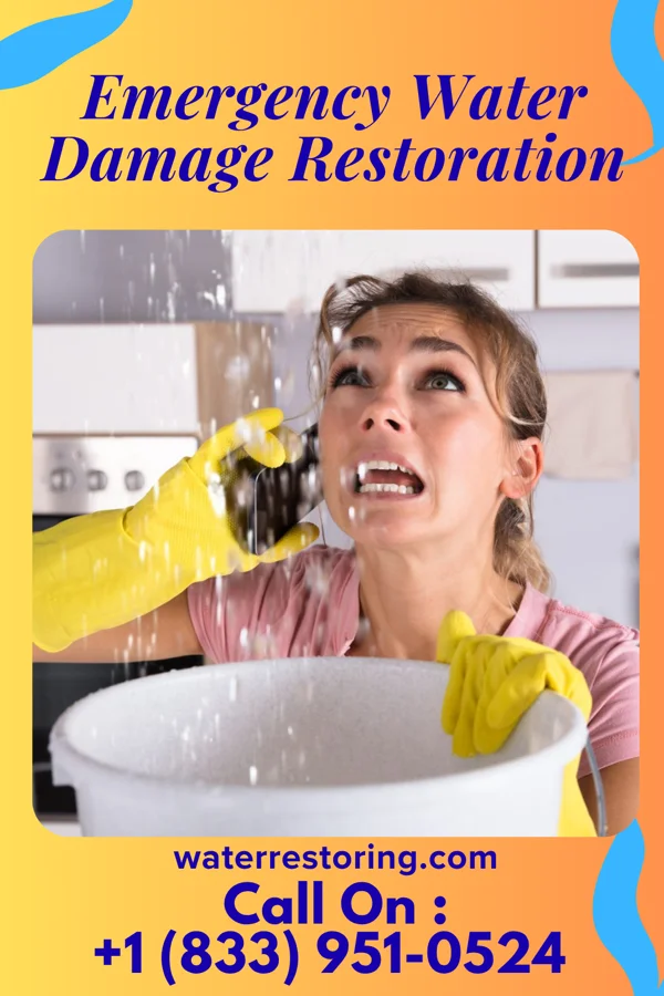 Emergency Water Damage Restoration in Cottonwood, SD